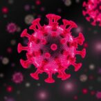 zinc-ions-combat-iridovirus-via-ferroptosis-control