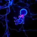 bioelectrical-impedance-revolutionizes-neonatal-growth-tracking