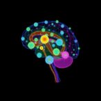 the-physics-behind-brain-development:-how-cells-collaborate-to-shape-the-neural-tube