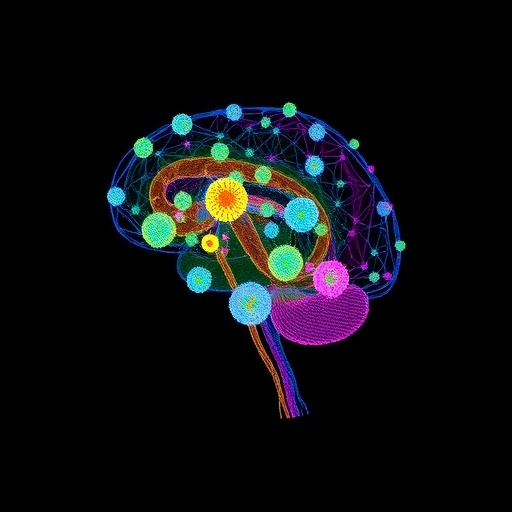 the-physics-behind-brain-development:-how-cells-collaborate-to-shape-the-neural-tube