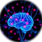 unlocking-pain-and-epilepsy:-new-insights-from-the-molecular-keyhole