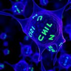 hormonal-signal-h2a.z-axis-reshapes-fat-cell-dna