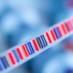 shallow-sequencing:-pros-and-cons-for-strain-analysis