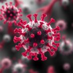 new-study-identifies-key-cell-proteins-fueling-severe-viral-infections