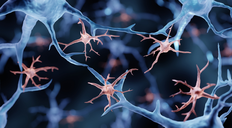 alzheimer’s-linked-to-cancer-mutations-in-brain-immune-cells