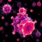 nih-backed-ai-model-forecasts-cancer-survival-using-single-cell-tumor-analysis