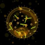 non-targeted-analysis-reveals-new-contaminants-in-amniotic-fluid