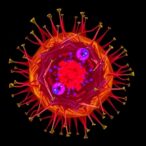 scientists-enhance-precision-in-visualizing-cellular-life