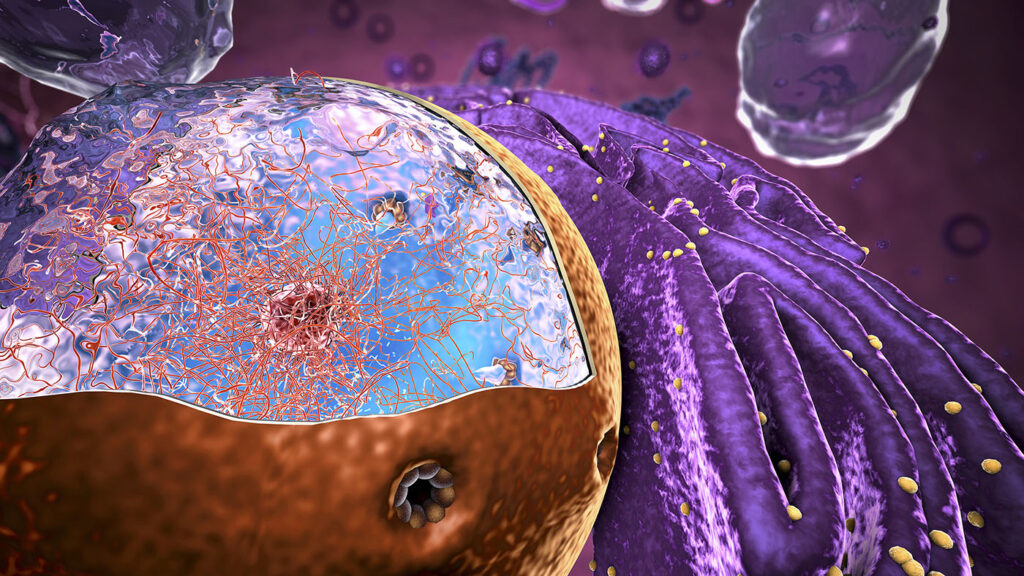 antigen‑stabilized-nanobody-probes-enable-on‑demand,-multicolor-protein-imaging