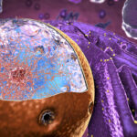 antigen‑stabilized-nanobody-probes-enable-on‑demand,-multicolor-protein-imaging