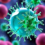 how-cells-convert-mechanical-forces-into-biochemical-signals