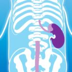 advances-in-systemic-therapy-and-bladder-preservation