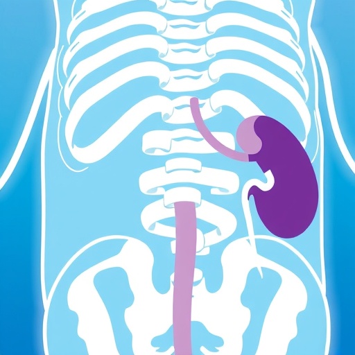 advances-in-systemic-therapy-and-bladder-preservation