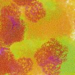 overcoming-the-vlp-purification-bottleneck