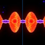 from-four-to-two:-how-duplicated-genomes-return-to-diploidy