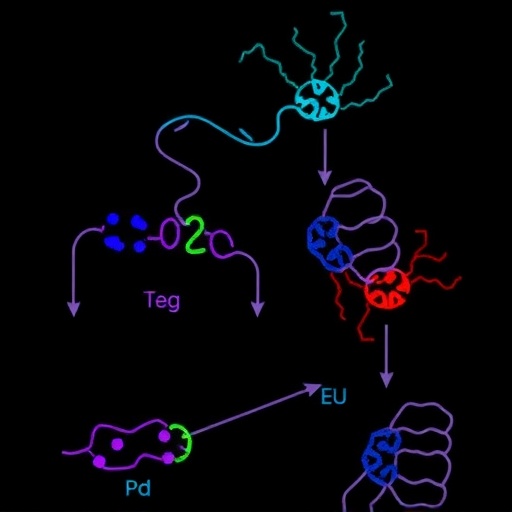 let-7b-5p-halts-breast-cancer-by-targeting-glycolysis