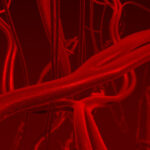 cellular-mechanisms-behind-diabetes-derived-vascular-disease-unveiled