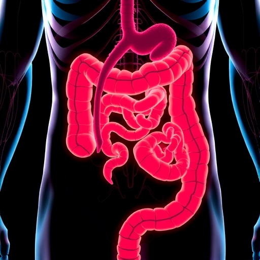 ketogenic-diet-worsens-colitis-via-gut-immune-axis