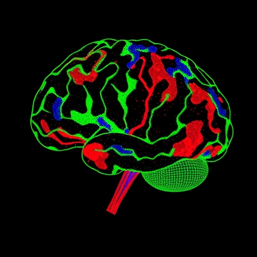 tracking-human-glial-cell-maturation-in-mouse-brain