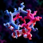 unveiling-the-structure-of-s1p-receptor-ligand-binding:-a-breakthrough-for-targeted-drug-design