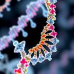 revolutionary-universal-toolkit-transforms-bacterial-dna-editing