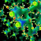 new-automation-platform-advances-high-resolution-spatial-mapping-of-microbial-communities