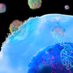 novel-kir‑car-t-approach-shows-early-activity-against-solid-tumors