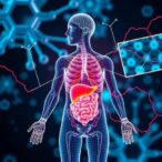 breakthrough-finding-transforms-understanding-of-sugar-storage-in-the-body