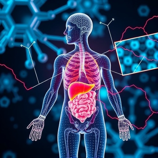 breakthrough-finding-transforms-understanding-of-sugar-storage-in-the-body