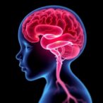 early-erythropoiesis-agents-boost-preterm-brain-health