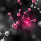 trans-at-polyketide-synthase’s-condensation-free-internal-translocation