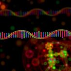 cell-specific-dna-methylation-drives-diabetes-gene-expression
