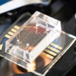 ai-learns-to-predict-breast-cancer-risk-from-how-single-cells-respond-to-pressure