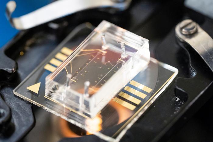 ai-learns-to-predict-breast-cancer-risk-from-how-single-cells-respond-to-pressure