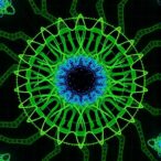 nanoscale-nuclear-organization-revealed-by-high-resolution-imaging