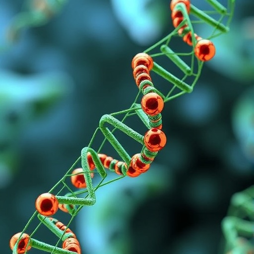 cellular-logistics-unveiled:-scientists-decipher-mrna’s-“navigation-system”