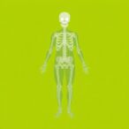 how-bone-marrow-fat-fuels-immune-suppression-and-bone-loss-in-obesity