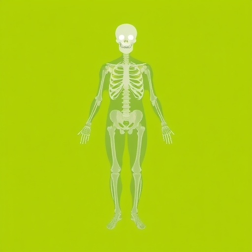 how-bone-marrow-fat-fuels-immune-suppression-and-bone-loss-in-obesity