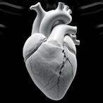 3d-heart-study-in-congenital-diaphragmatic-hernia
