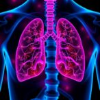 pe/ppe-proteins-drive-tuberculosis-drug-resistance