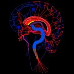 trpv4-drives-aminoglycoside-ototoxicity-without-reducing-efficacy