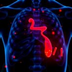 cnns-diagnose-tuberculosis-antibiotic-resistance,-predict-treatment