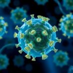 advancing-adoptive-cell-therapies-for-b-lymphoma-through-glycocalyx-engineering