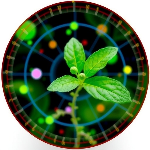 ai-driven-phenotype-target-coupled-screening-unveils-novel-approaches-in-herbal-drug-discovery