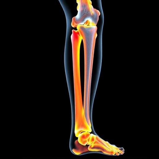 femoral-fracture-patterns-reveal-southern-brazil-inequalities