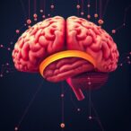 stanford-medicine-study-reveals-how-group-averages-mask-individual-brain-control-of-behavior