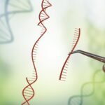 intellia-races-in-vivo-crispr-therapy-to-fda-after-phase-3-data-paint-‘compelling’-picture