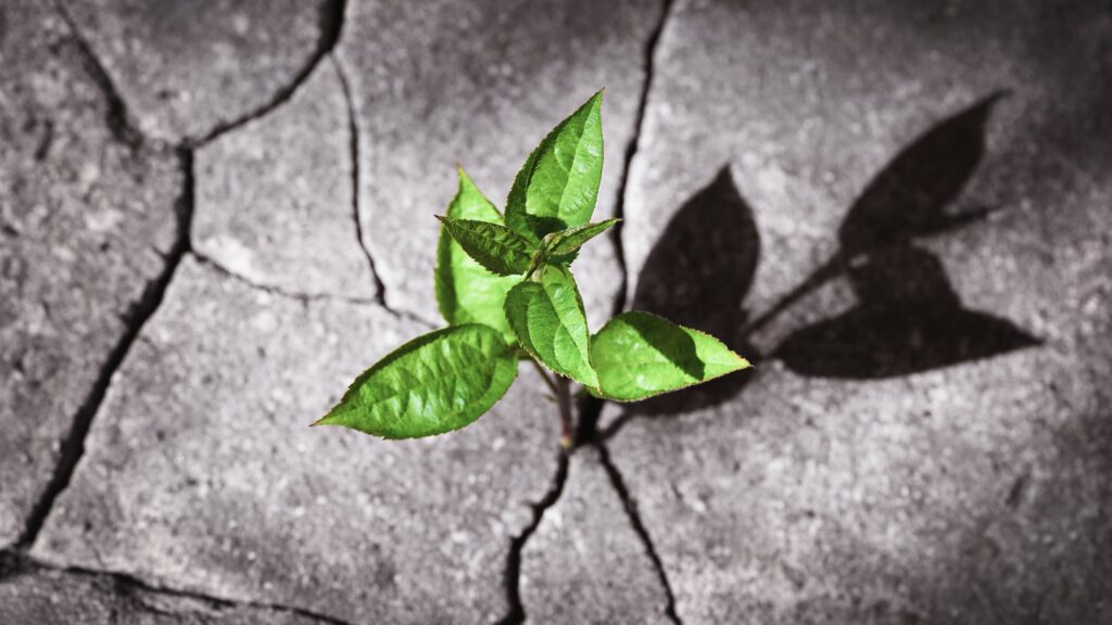 british-biotech-vc-funding-shows-‘signs-of-recovery,’-but-ipo-rebound-yet-to-materialize