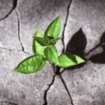 british-biotech-vc-funding-shows-‘signs-of-recovery,’-but-ipo-rebound-yet-to-materialize