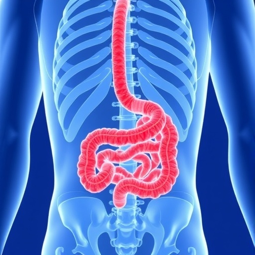 uh-researchers-unveil-promising-new-approach-for-crohn’s-disease-treatment